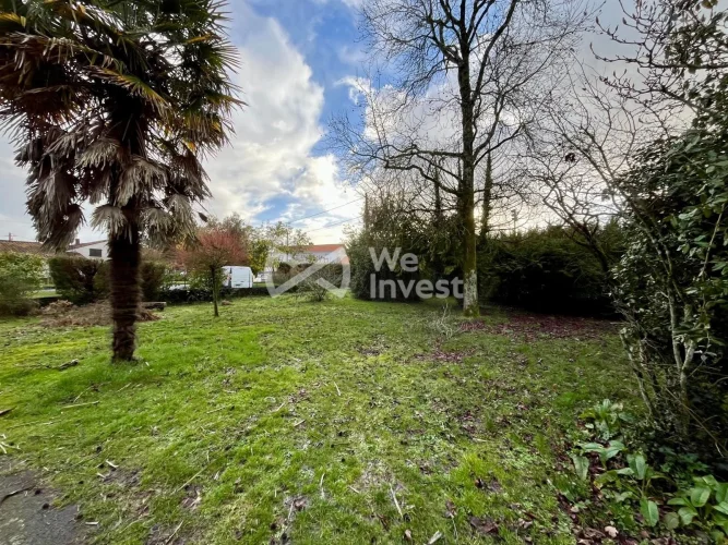 Attractive Single-Storey House photo 5