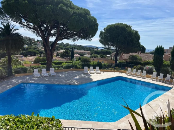 Cavalaire-Sur-Mer Exclusive Listing 3-Room Mazet in a Residence with a Swimming Pool, 900 Meters photo 3