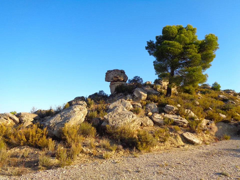 Finca in Maella, Zaragoza province photo 4