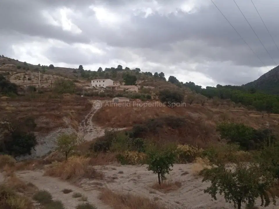 Farm house in Los Cerricos, Almeria province photo 5