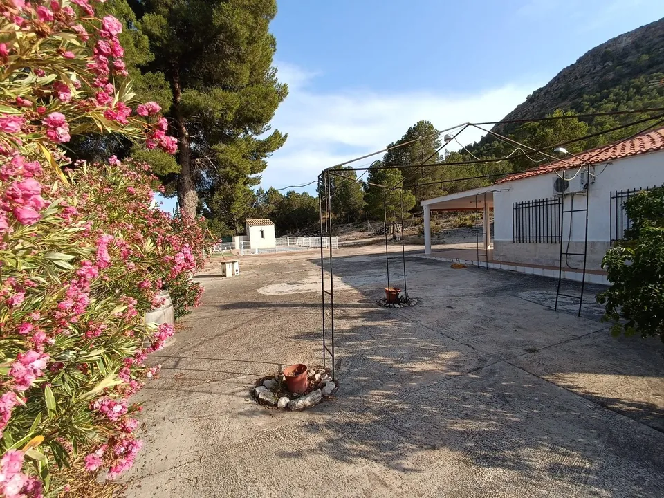 Stratus International Properties photo 4
