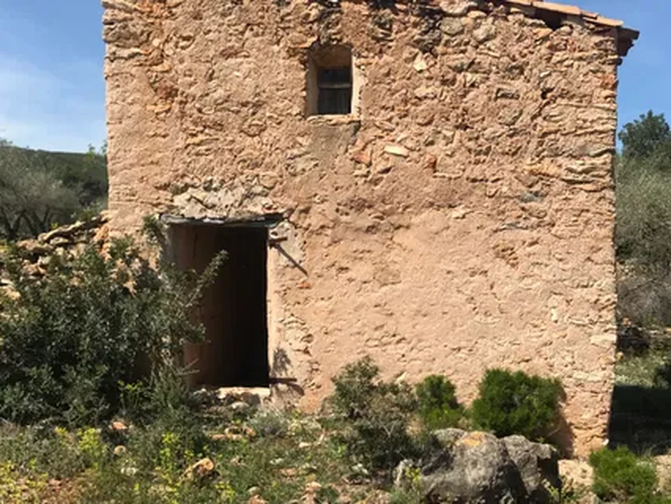 Catalancasas