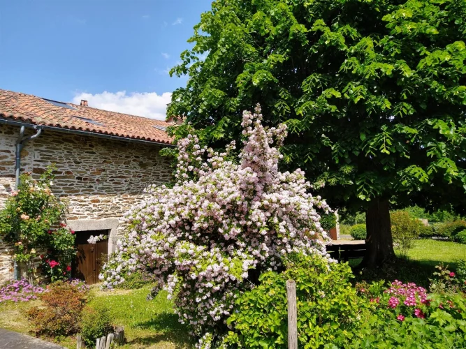 Charming Rural Property Complex, 4 or 5 Dwellings, Ideal as a Friend-Owned Secondary Residence! photo 5