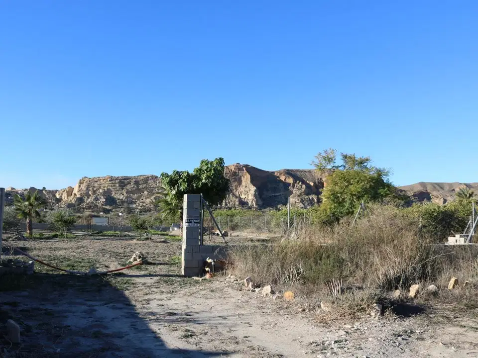 Grupo Platinum Estates sl photo 4