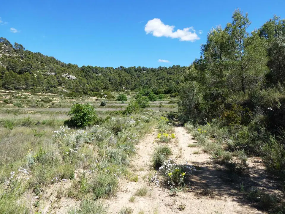 Finca in Arens De Lledo, Teruel province photo 3