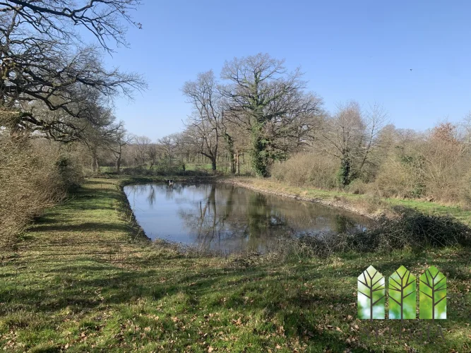 Village House with 2 Fishing Lakes & Gîte Potential photo 2