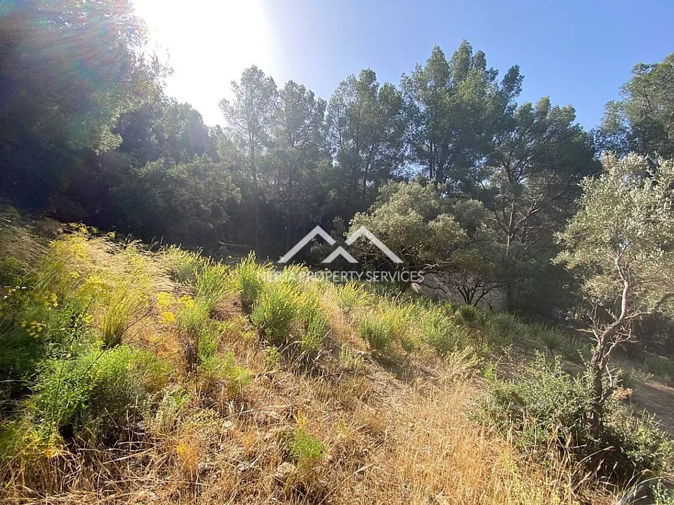Nerja Property Services photo 5