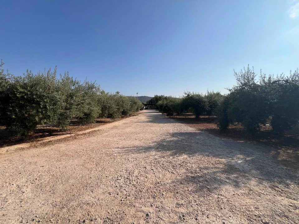 Country house in Alcanar, Tarragona province photo 2