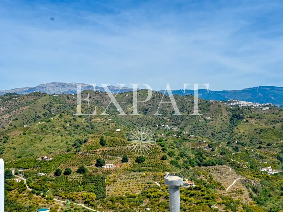  Expat Real Estate & Consulting  photo 3