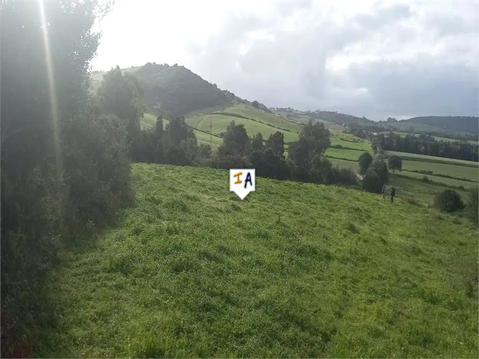 Inland Andalucia photo 5