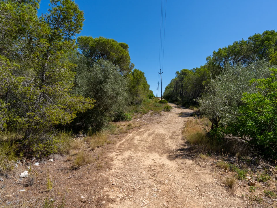 MAS CATALAN RURAL PROPERTIES S.L.U. photo 2
