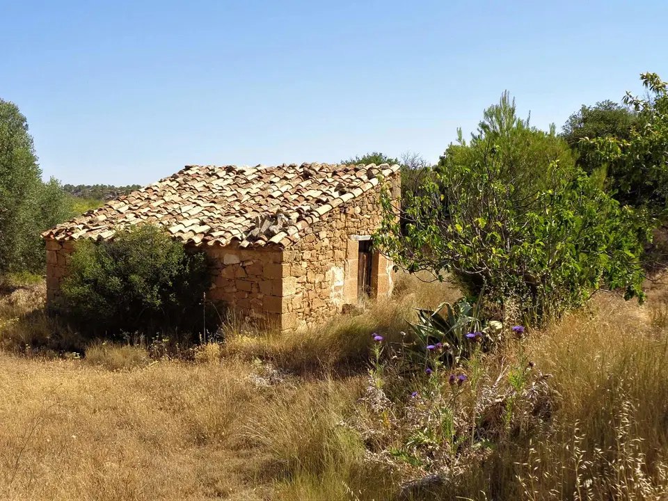 Finca in Maella, Zaragoza province photo 5
