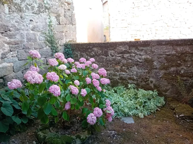 Charming Village House in Monestiés photo 3