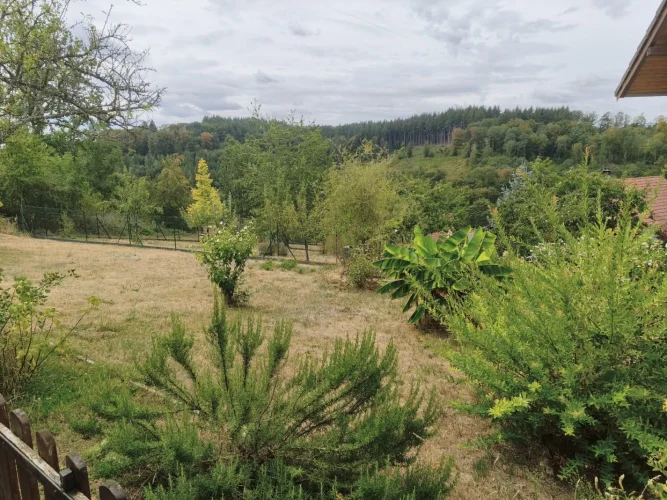 4 Bed House for Sale in Lambach photo 5