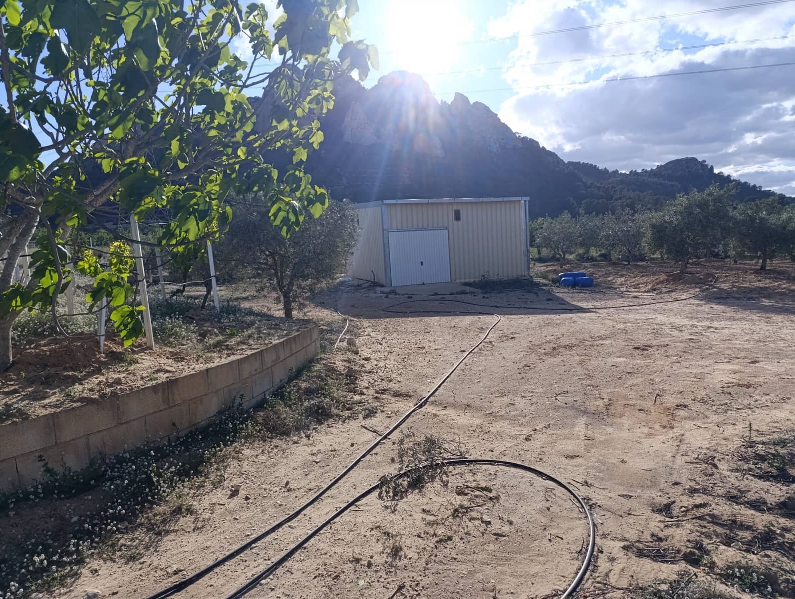 Finca/Country House for sale in Sax, Alicante