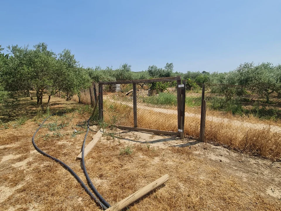 Country house in Riba-Roja D'ebre, Tarragona province photo 5