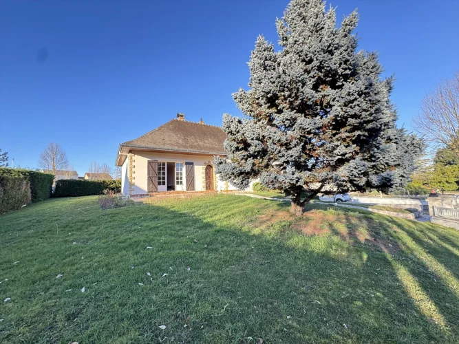 Single-Story Villa with Semi-Underground Basement photo 2