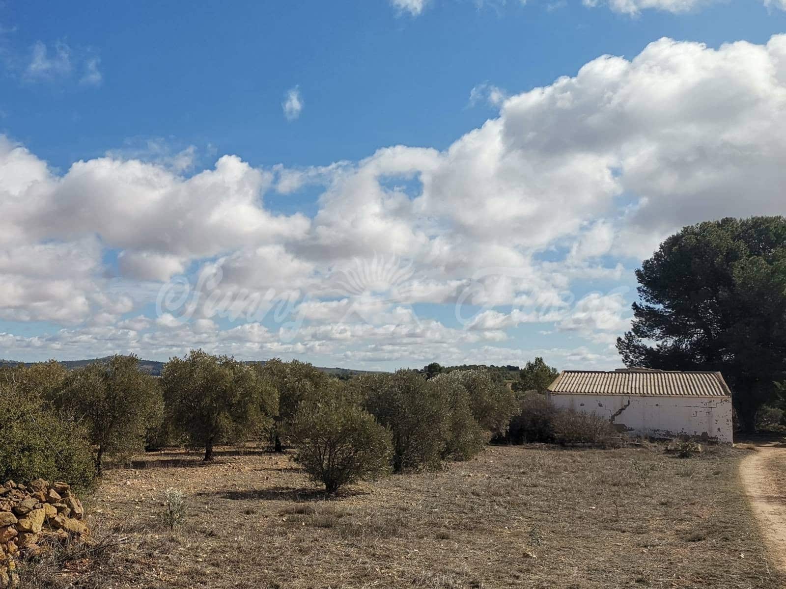 Finca/Country House for sale in Yecla, Murcia photo 2