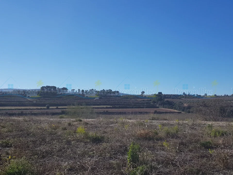 Dream'n Blue Properties photo 4