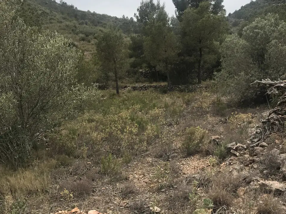 Finca in Benifallet, Tarragona province photo 3