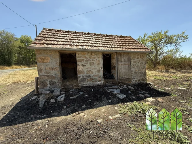Character Stone Farmhouse with Barns and 1.5 Hectares of Land – Quiet Location Close to Bonnat photo 3