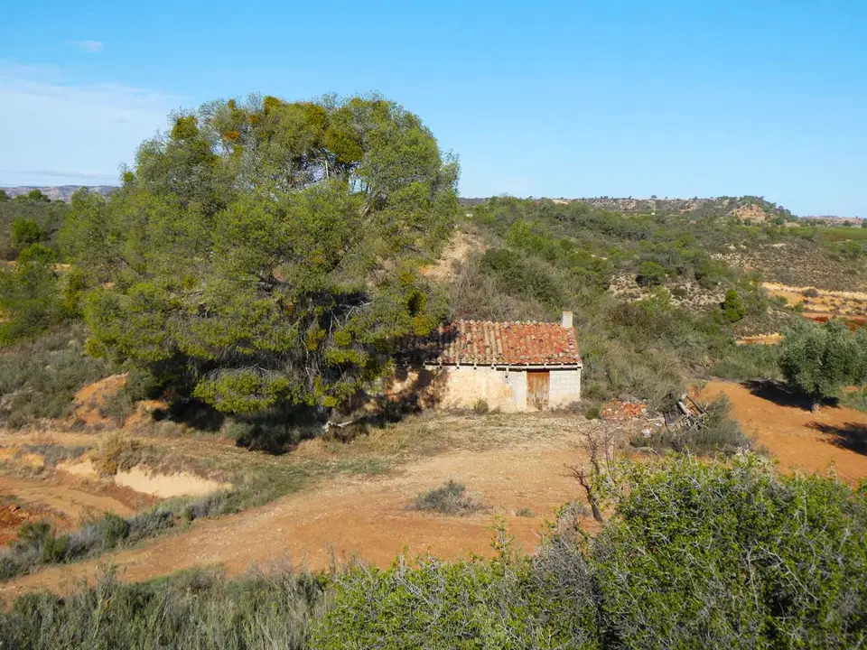 Finca in Maella, Zaragoza province