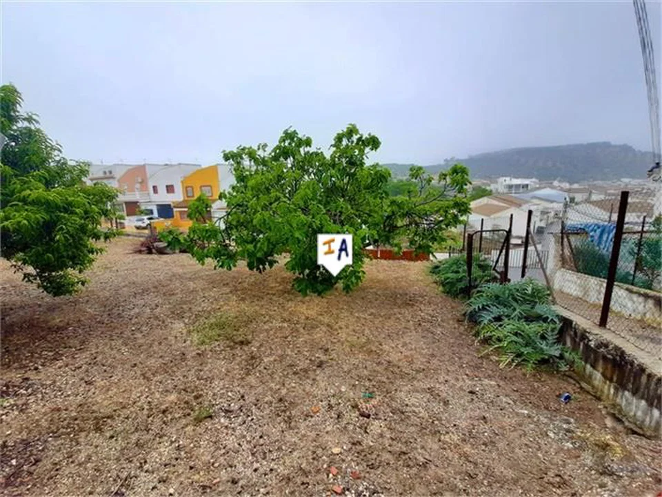 Inland Andalucia photo 2
