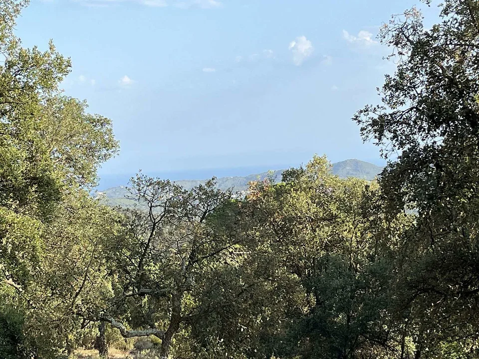 Costa Brava Fincas SL photo 3