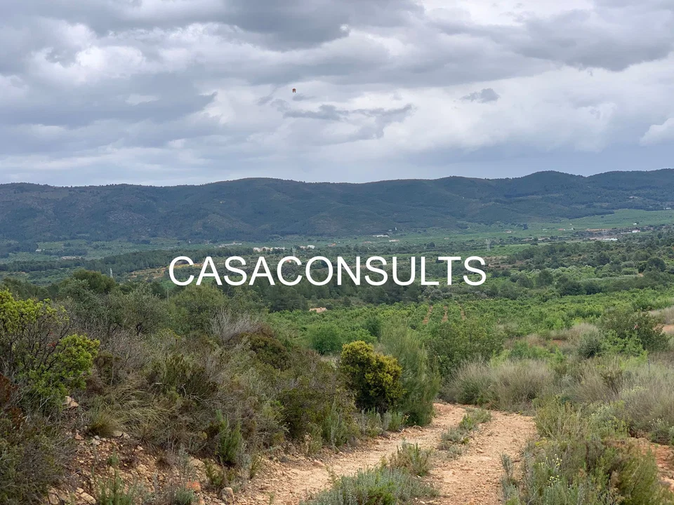 Country house in Las Crevadas, Castellon photo 5