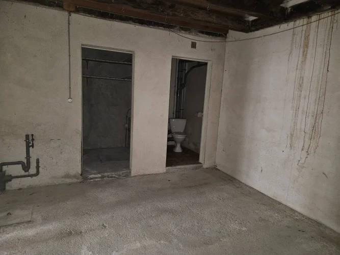 Owner of Several Houses photo 5