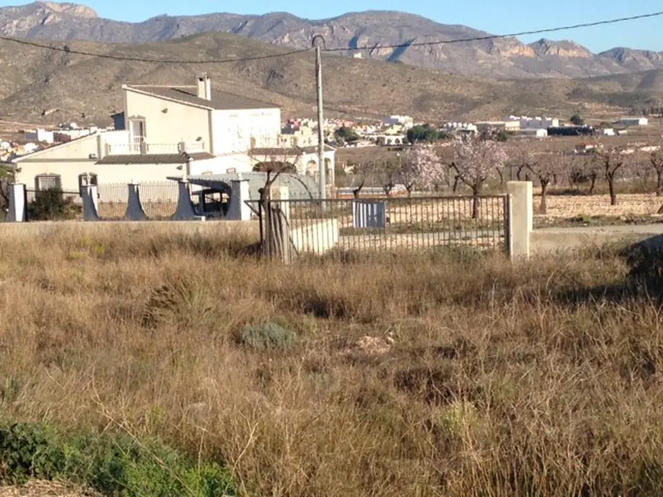 Alicante Dream Property  photo 3