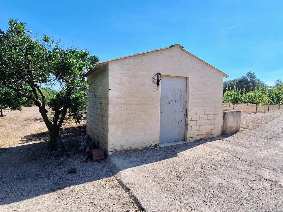 Catalan Connexion S.l. — Ginestar, Catalonia, Spain