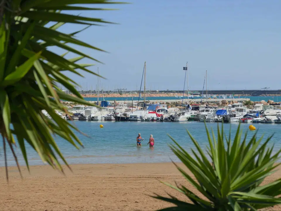 Town house in Torrevieja, Alicante province photo 3