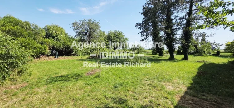 For Sale: a Rough Diamond in the Heart of Nature, Saint-Loup-Des photo 5