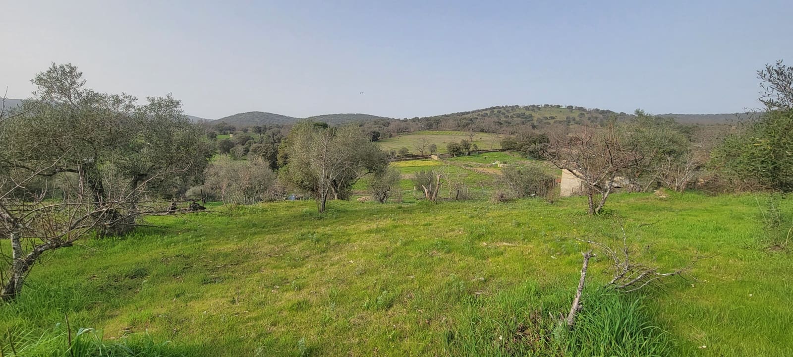 Finca/Country House for sale in Garciaz, Cáceres photo 4