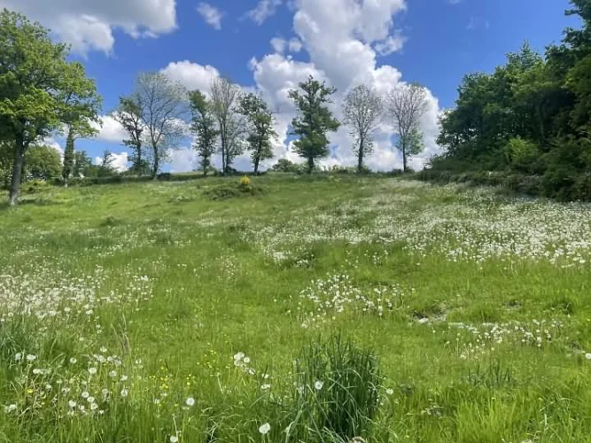 Detached Stone and Slate Property(South Facing;104 sqm), Lies in the Countryside in a Peaceful photo 2