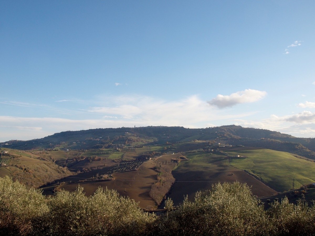 Property in Atri photo 5