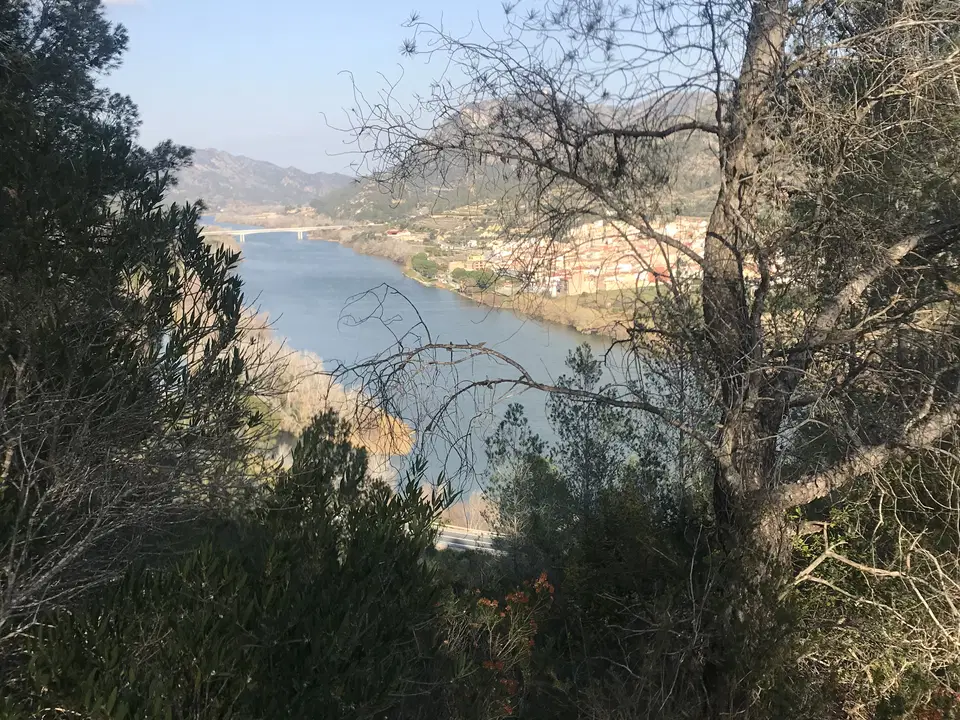 Catalancasas photo 2
