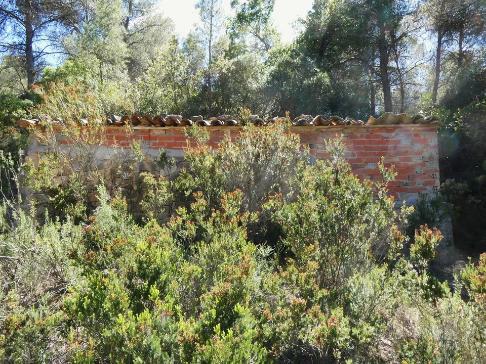 Finca in Arens De Lledo, Teruel province photo 5