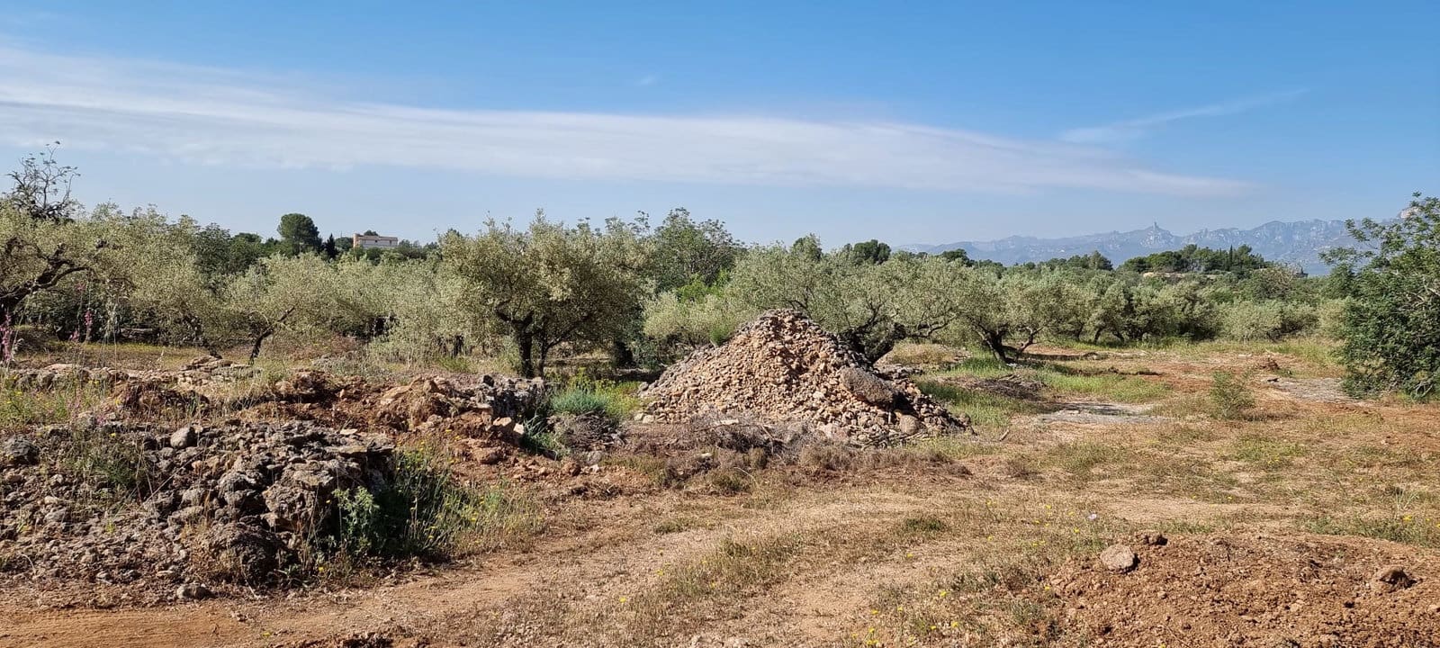 Finca/Country House for sale in Els Reguers, Tortosa, Tarragona photo 5