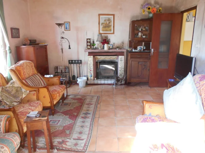 Spacious Detached 3+ Bedroom Village House photo 4