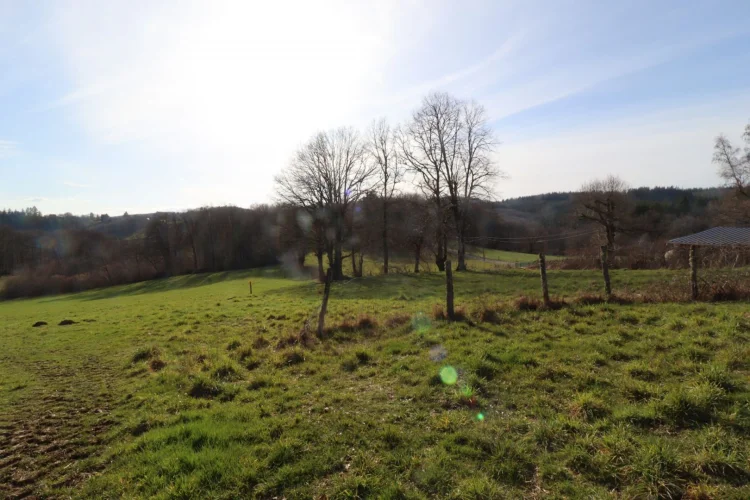 Correze. Near Neuvic. Beautiful Stone Barn with Land of 2 194m². photo 3