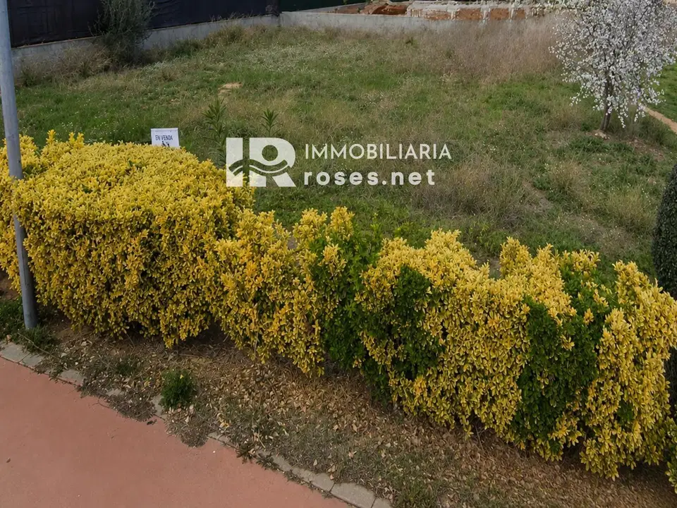 Immo Roses.net