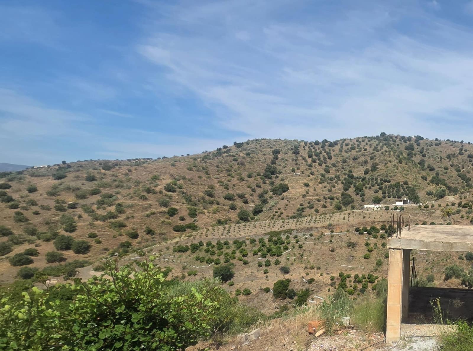 Finca/Country House for sale in Canillas de Aceituno, Málaga