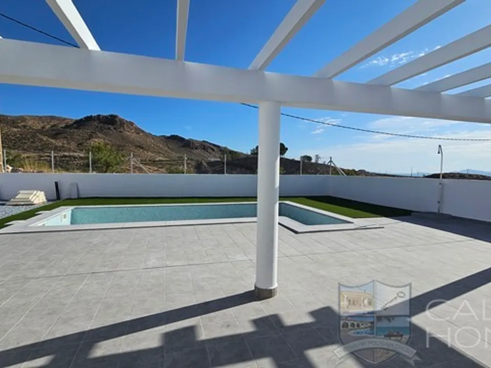 Calida Homes Property Consultancy photo 4