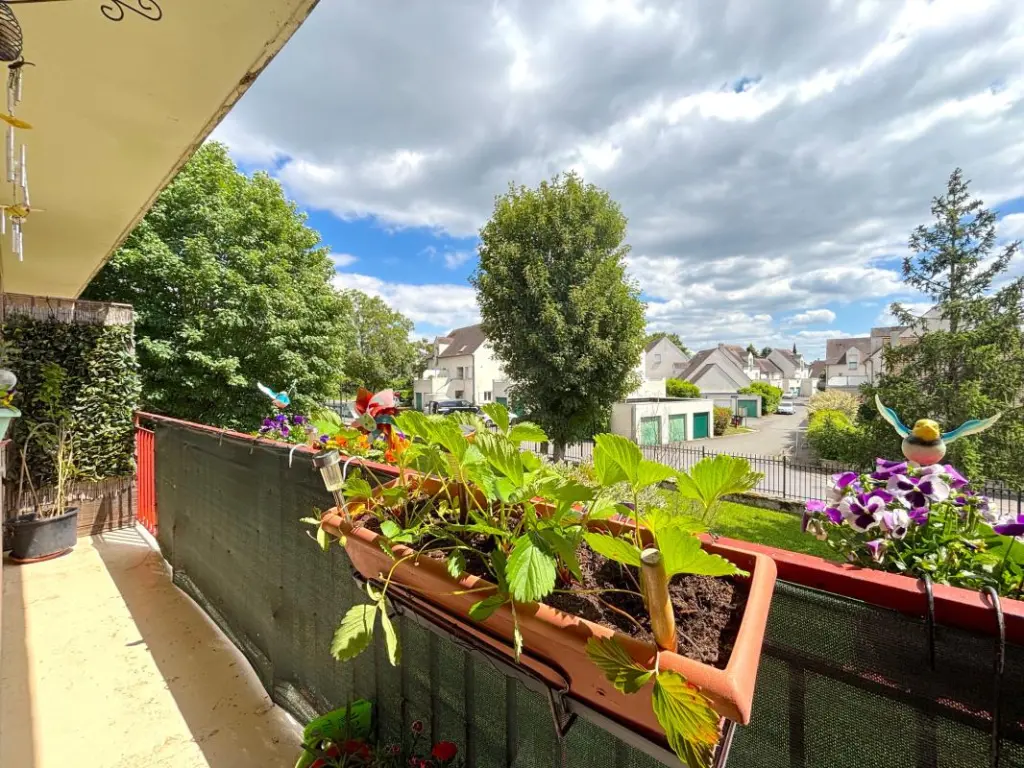 Appartement photo 2