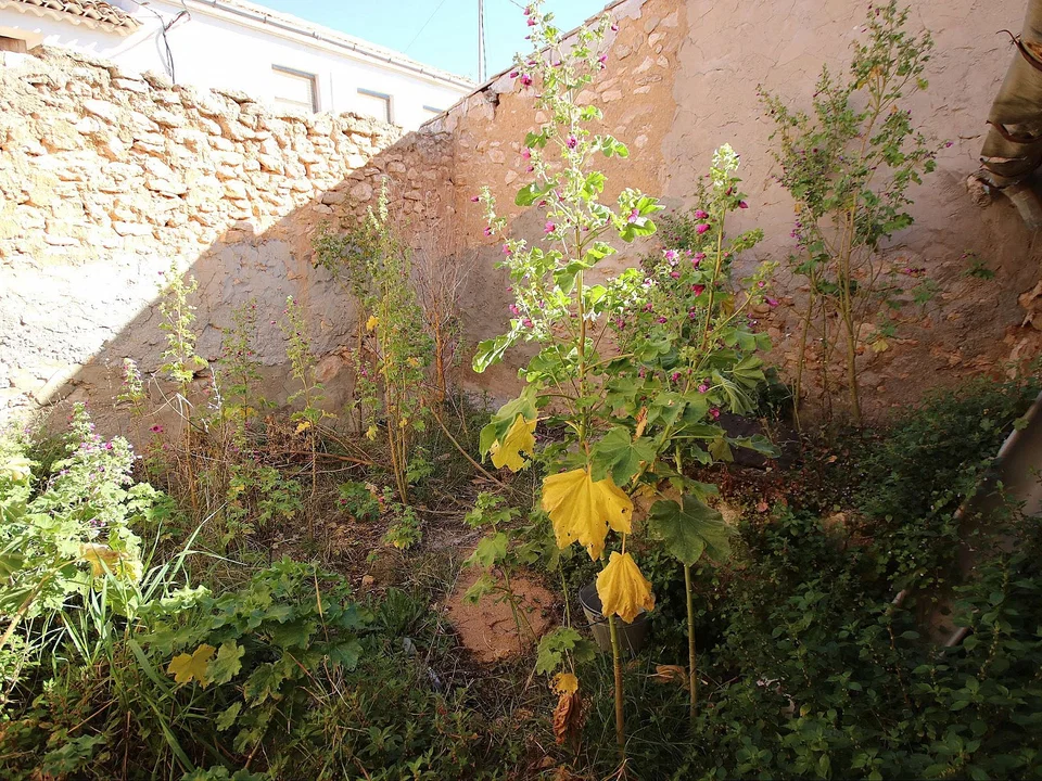 Alicante Dream Property  photo 5