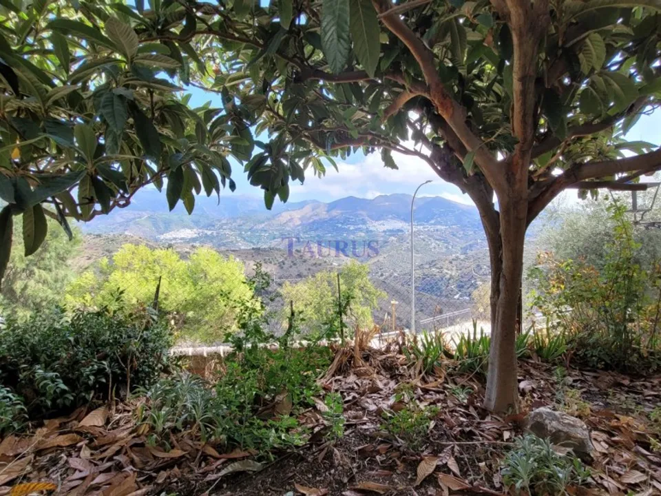 Taurus Real Estate photo 2