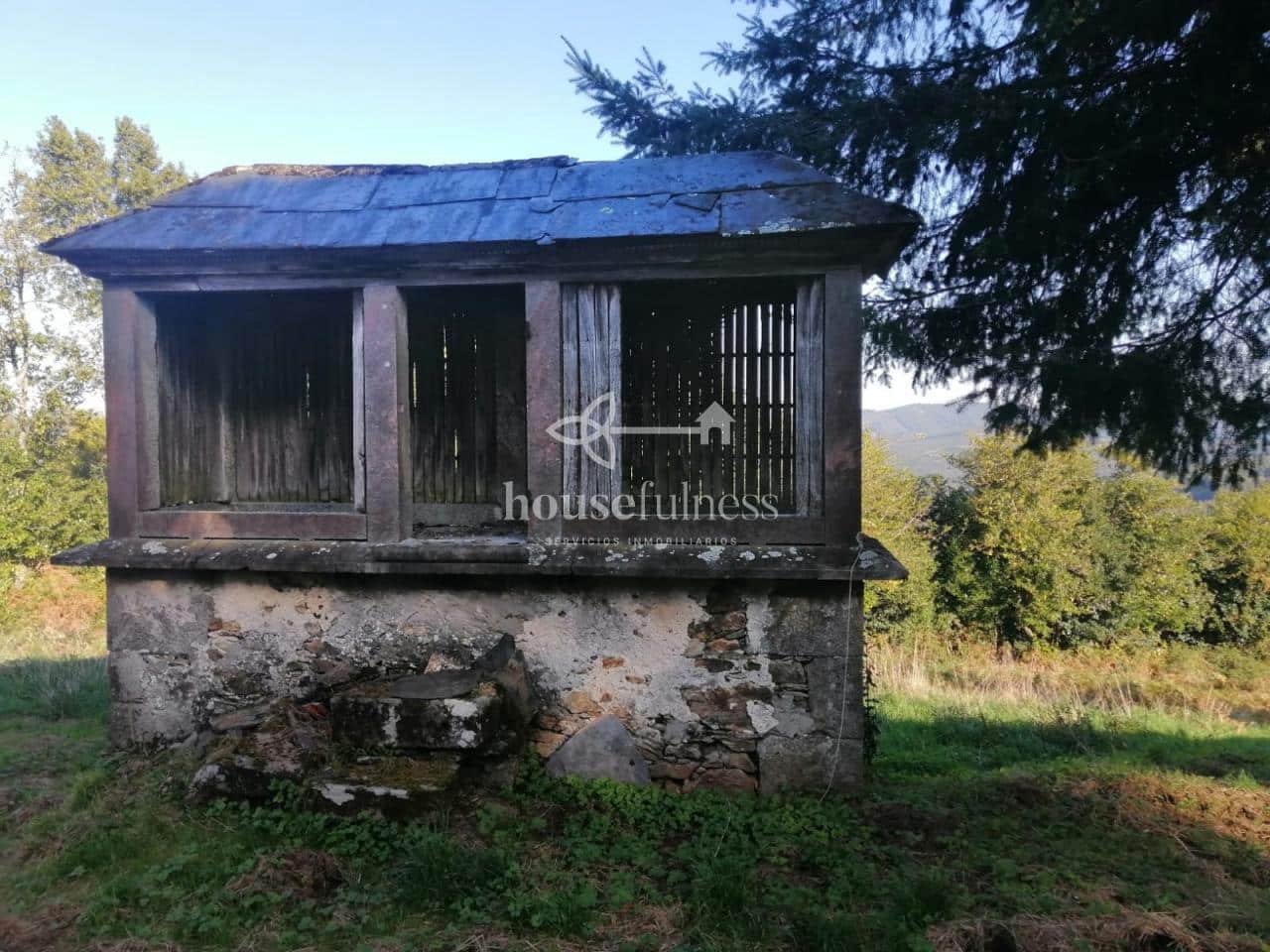 Finca/Country House for sale in San Sadurniño, A Coruña photo 3