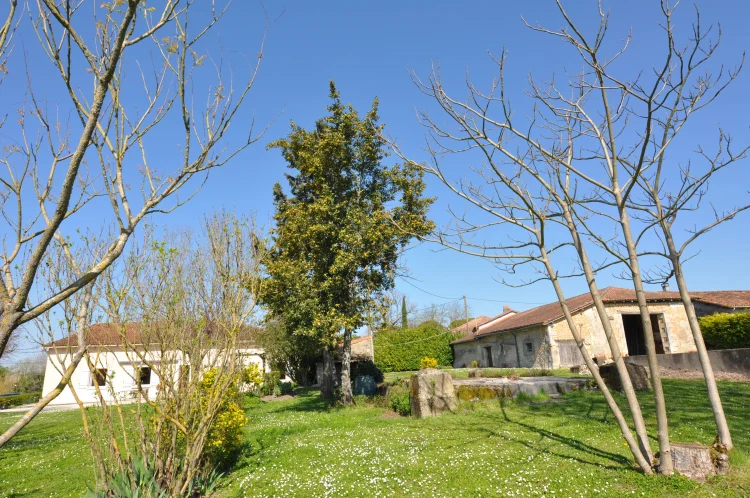 3-Bedroom House of 120m² with Barn and 7830m² Garden photo 2